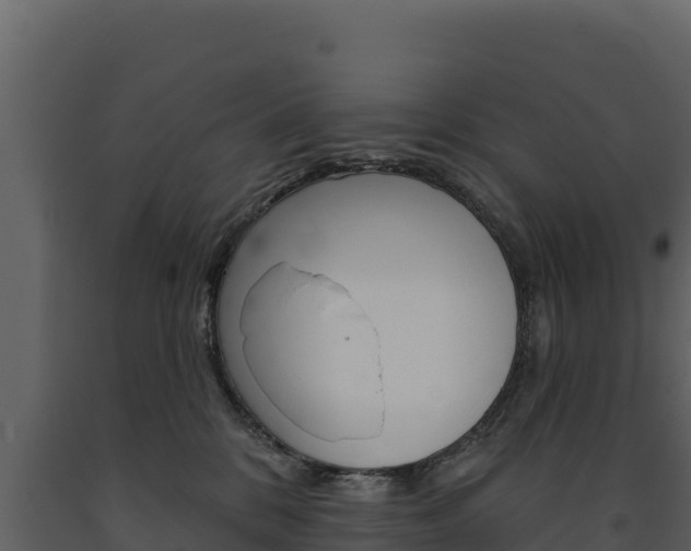 X0000091720328200708241026