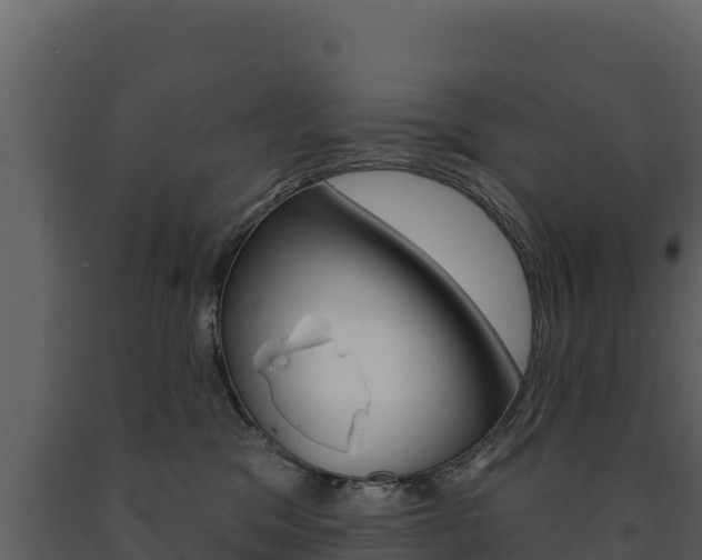 X0000091720329200708241026