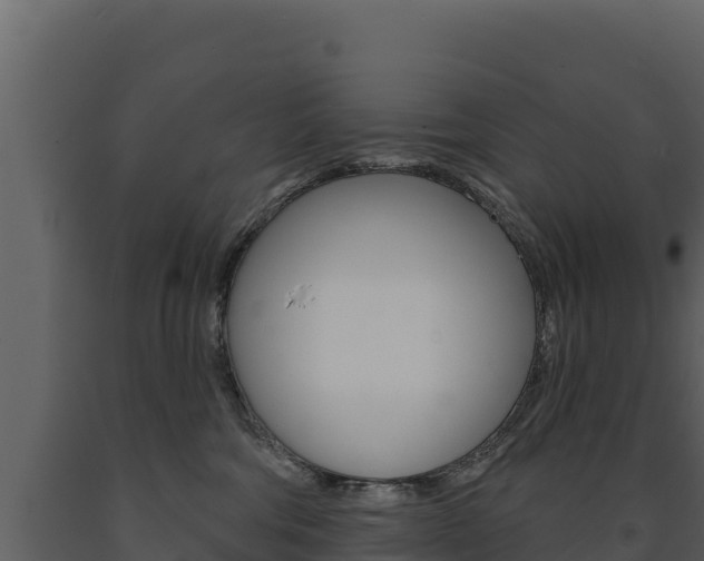 X0000091720330200708241026