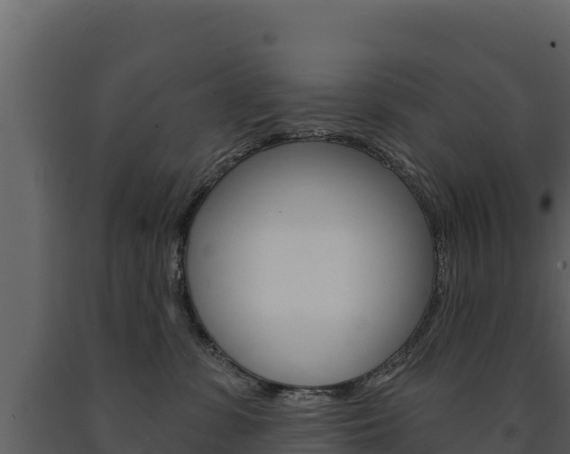 X0000091720331200708241026