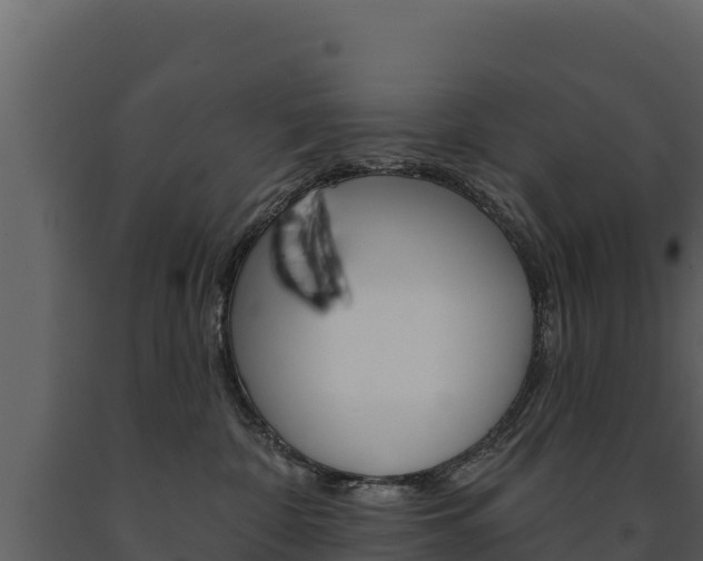 X0000091720332200708241026