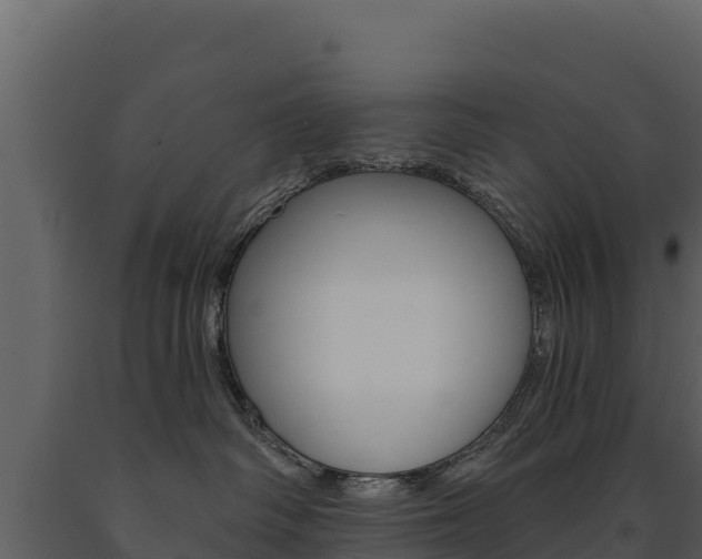 X0000091720334200708241026