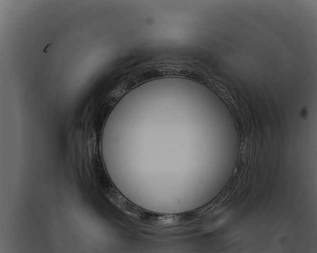 X0000091720335200708241026