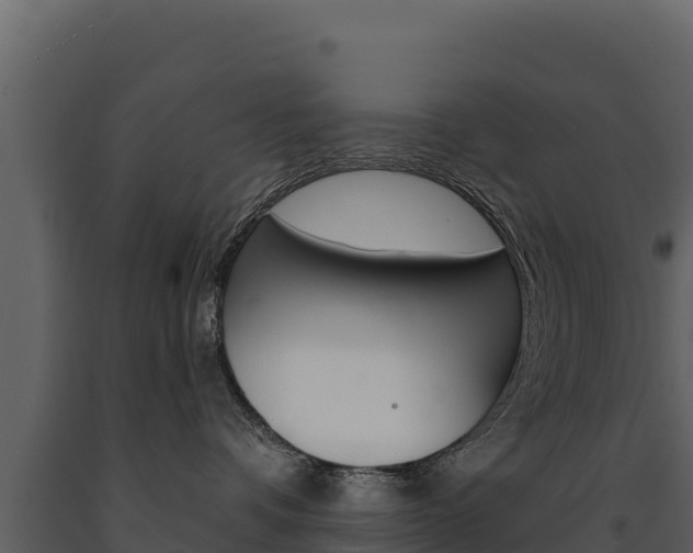 X0000091720336200708241026