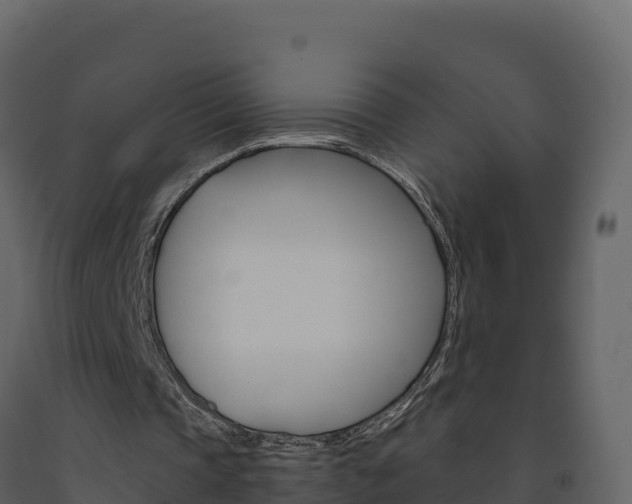 X0000091720337200708241025