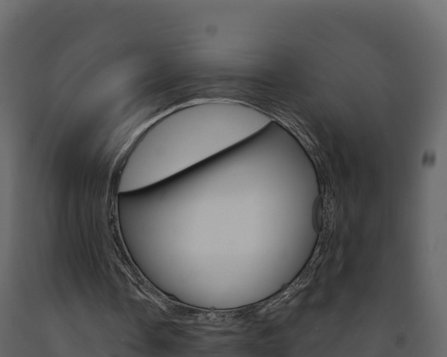 X0000091720338200708241025