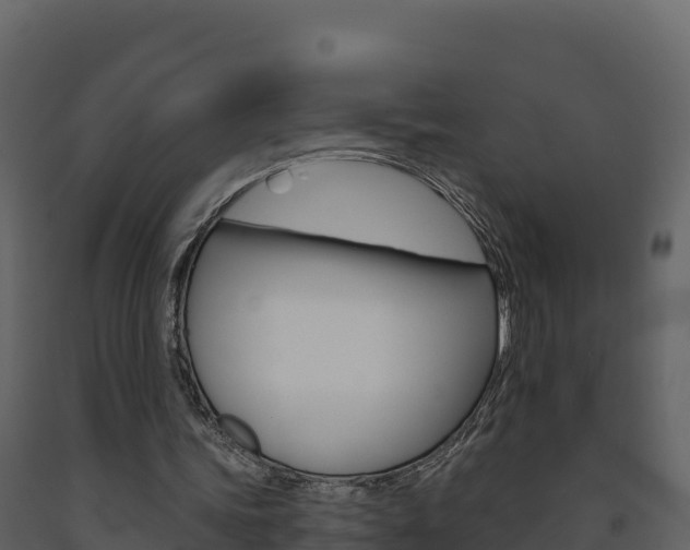 X0000091720339200708241025