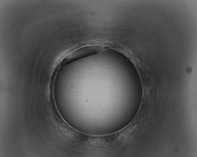 X0000091720340200708241025