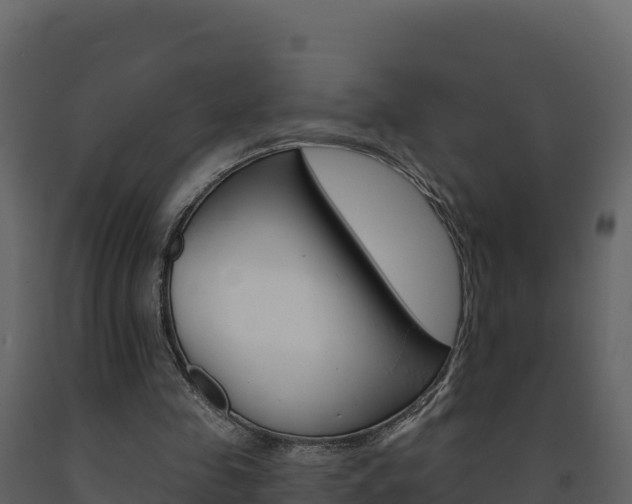 X0000091720341200708241025