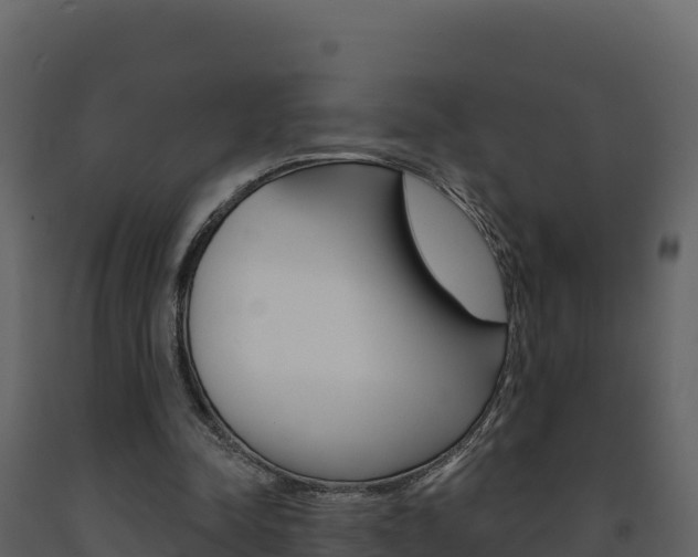 X0000091720342200708241025