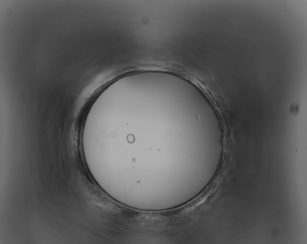 X0000091720343200708241025