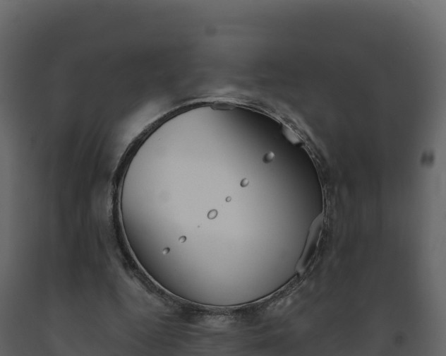 X0000091720344200708241025
