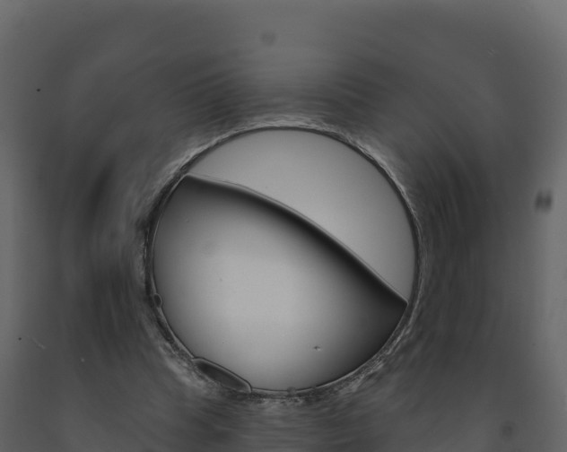 X0000091720345200708241025
