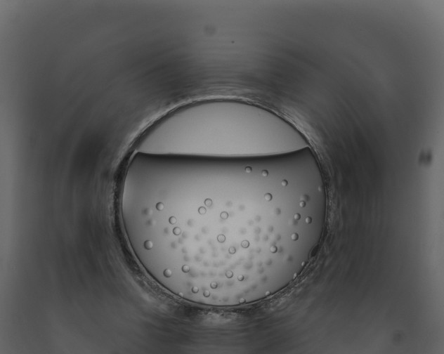 X0000091720346200708241025