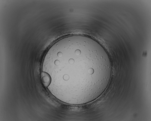 X0000091720347200708241025