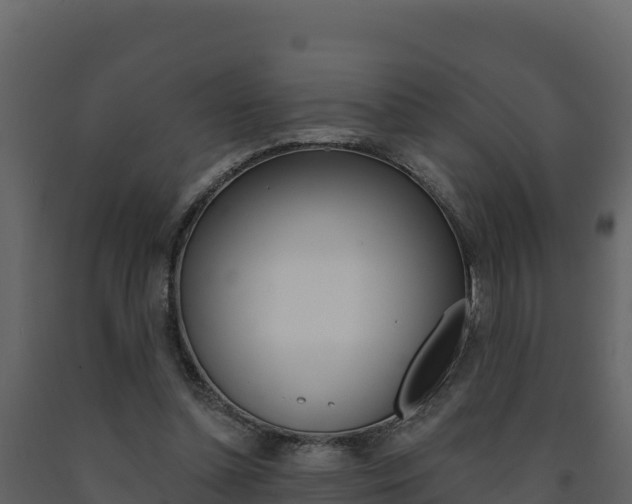 X0000091720348200708241025