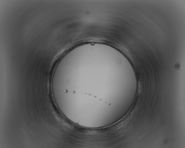 X0000091720349200708241025