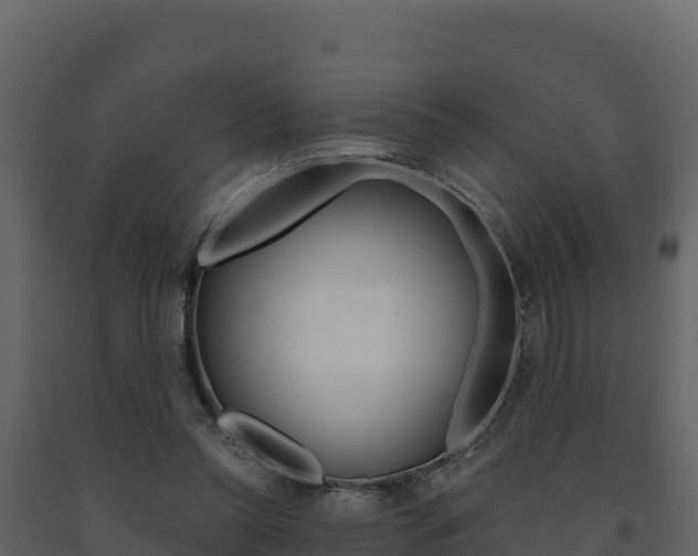 X0000091720350200708241025