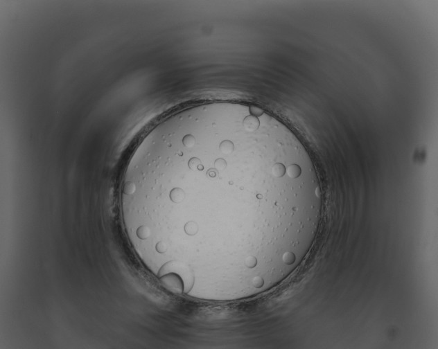 X0000091720351200708241025