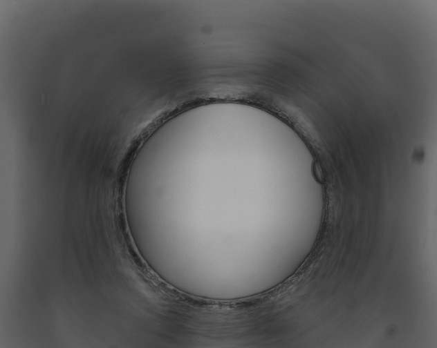 X0000091720354200708241025