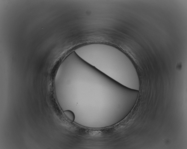 X0000091720355200708241025