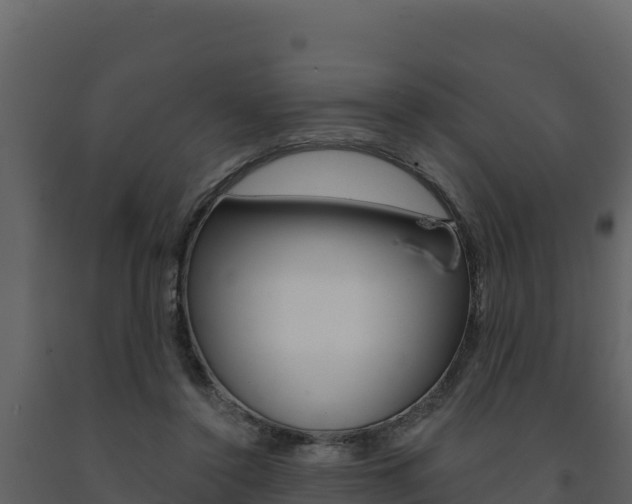 X0000091720356200708241025