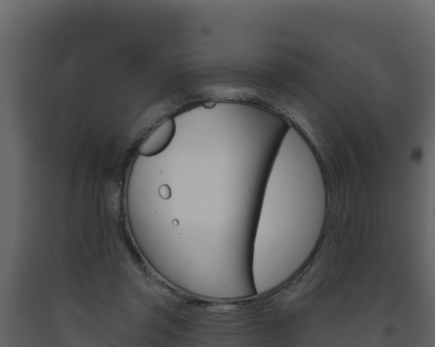 X0000091720357200708241025