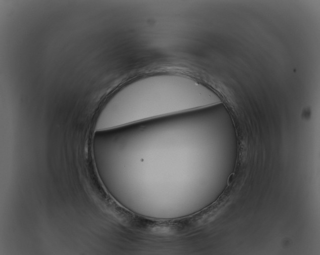 X0000091720358200708241025
