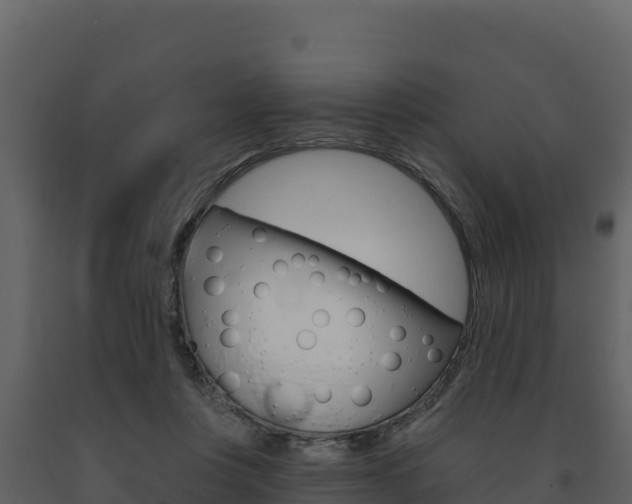 X0000091720359200708241025