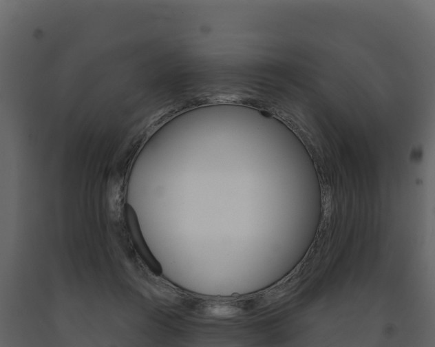 X0000091720360200708241025