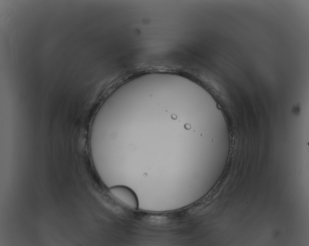X0000091720361200708241025