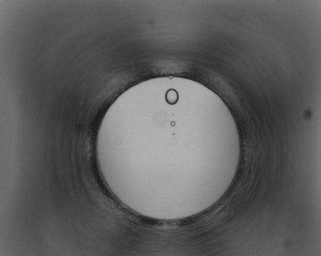 X0000091720362200708241025