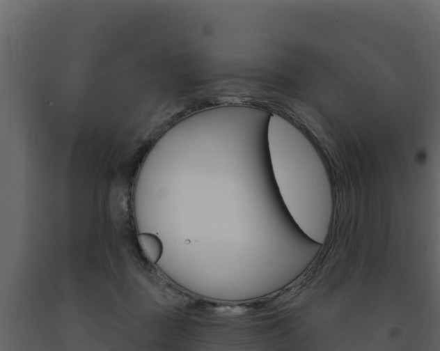 X0000091720363200708241025