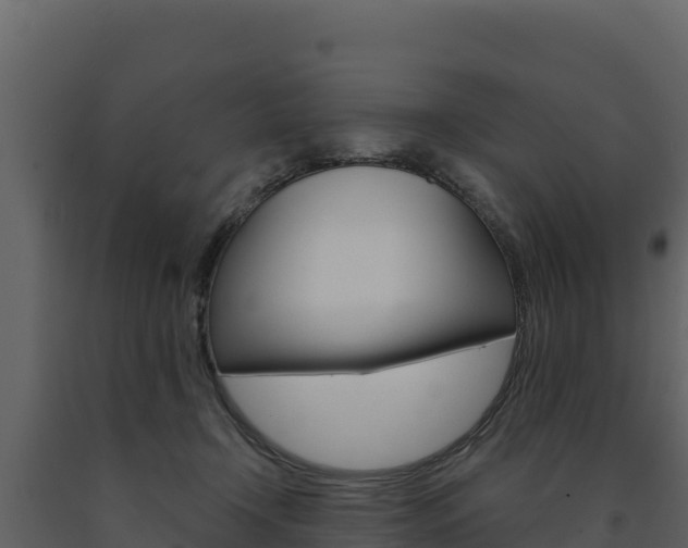 X0000091720366200708241025
