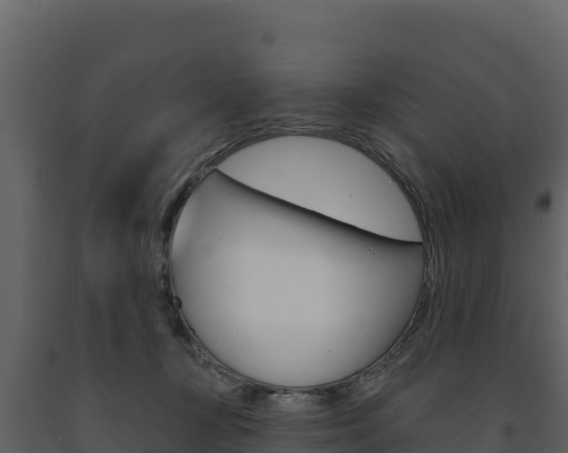 X0000091720367200708241025