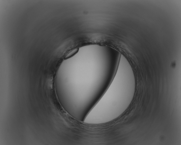 X0000091720368200708241025