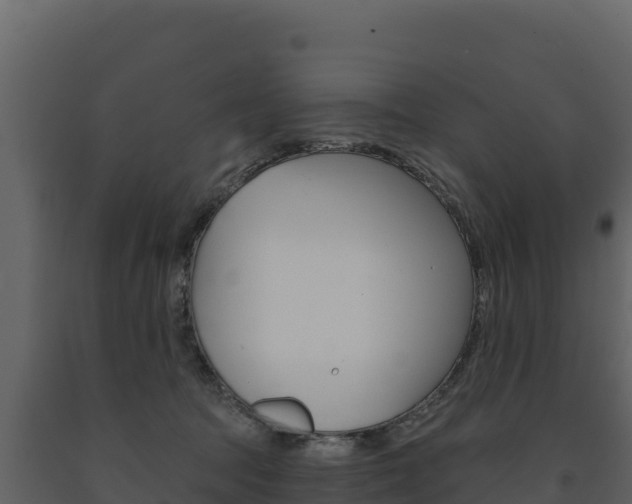 X0000091720369200708241025