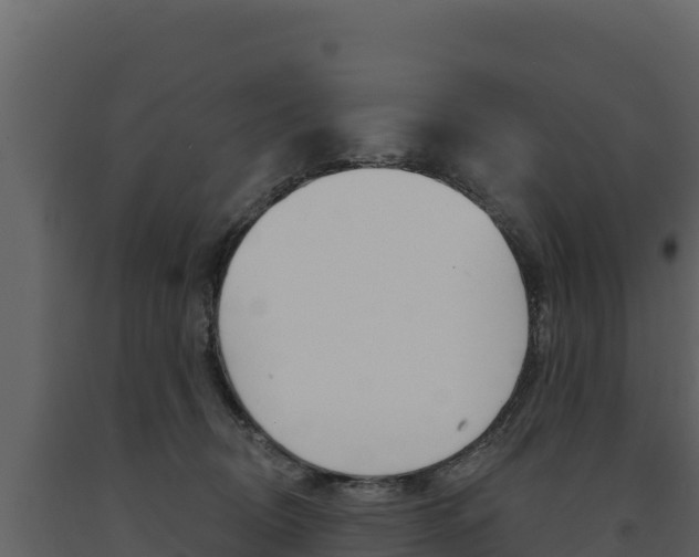 X0000091720370200708241025
