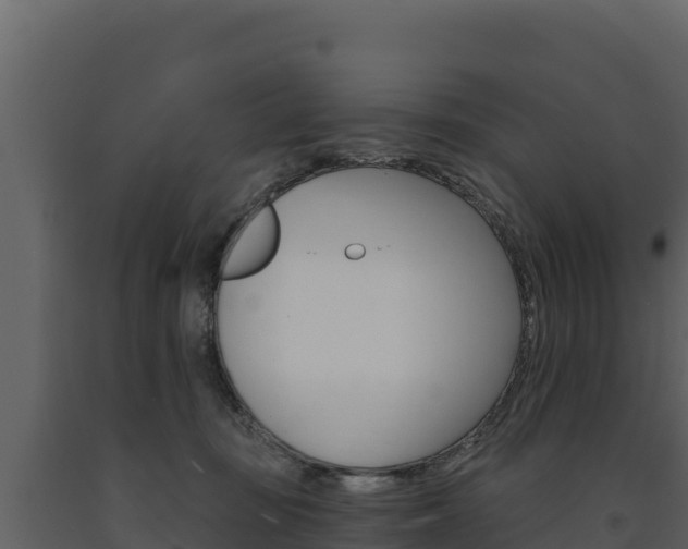 X0000091720371200708241025
