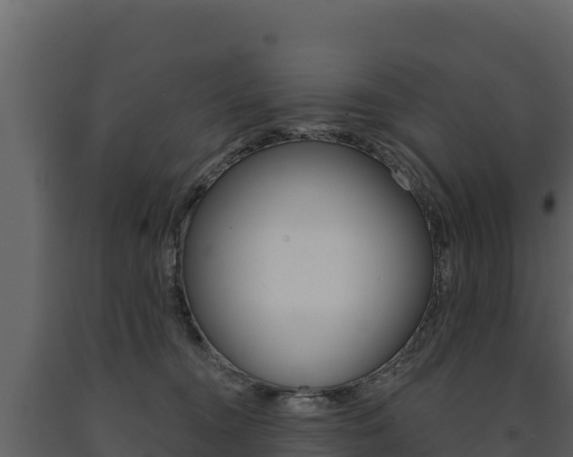 X0000091720372200708241025