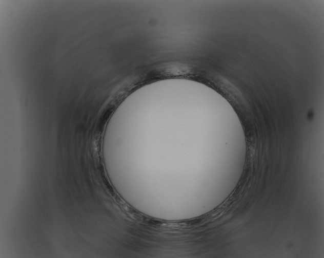 X0000091720373200708241025
