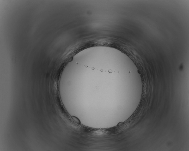X0000091720375200708241025