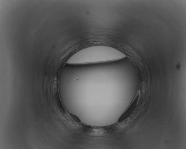 X0000091720376200708241025