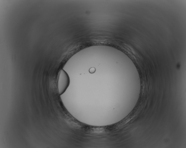 X0000091720377200708241025