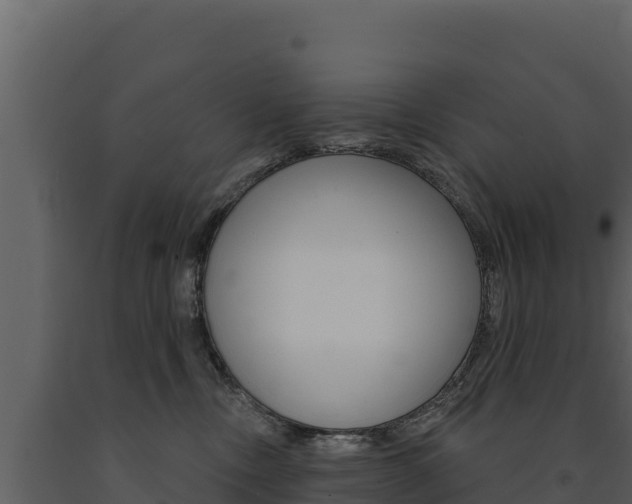 X0000091720378200708241025