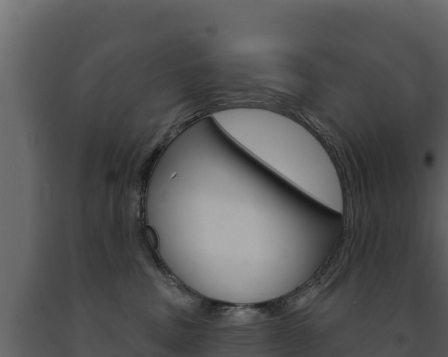 X0000091720379200708241026