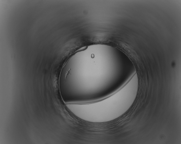 X0000091720380200708241026