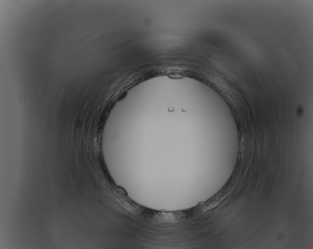 X0000091720381200708241026