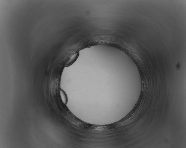 X0000091720382200708241026