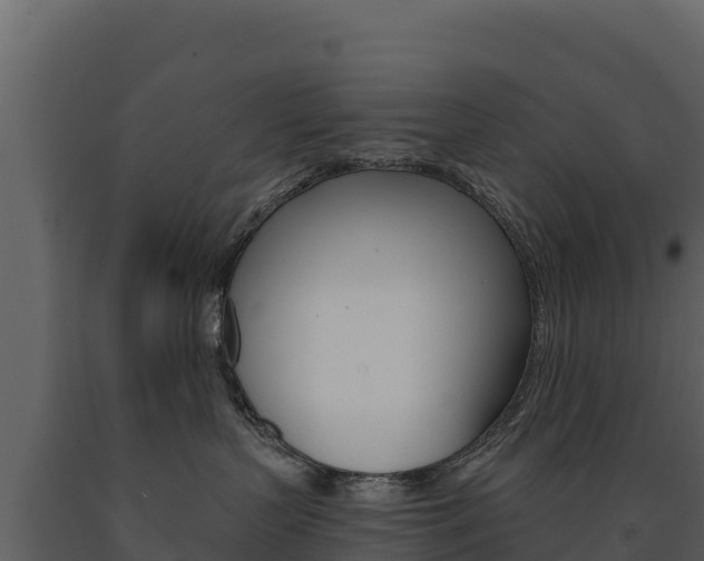 X0000091720383200708241026